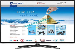 閔行網站建設與網絡開發 打造專業、高效的在線平臺