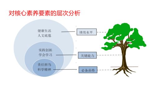 機(jī)遇與挑戰(zhàn) 寧夏互聯(lián)網(wǎng)+教育示范區(qū)建設(shè)與運(yùn)營(yíng)管理探析